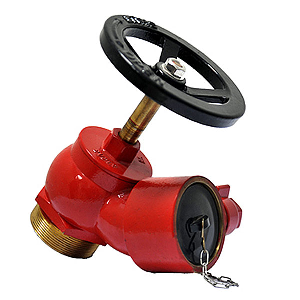 65 MM SCREW TYPE LANDING VALVE